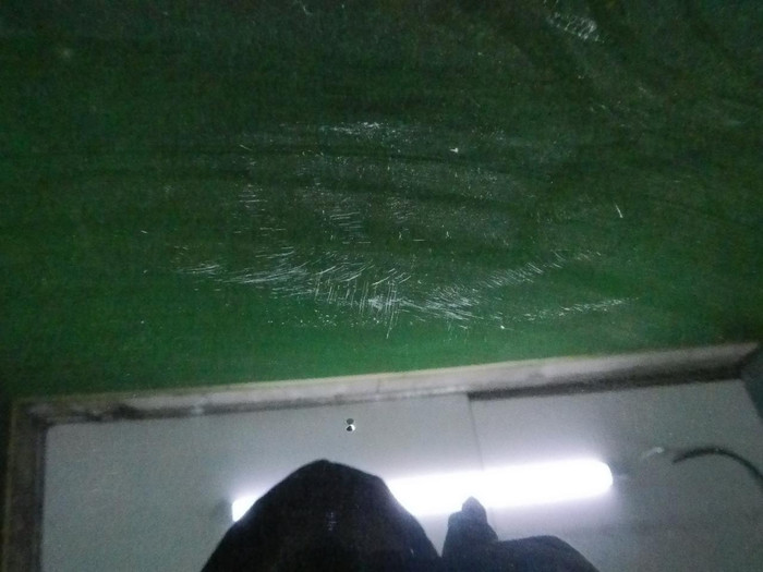 DSCN1046.JPG