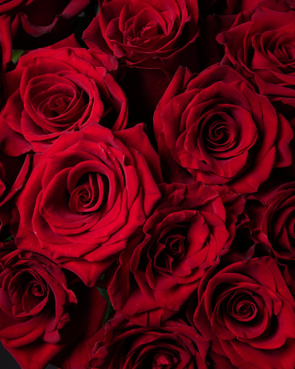 Монобукет красный