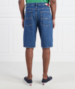 Шорты AIDEN BAGGY Tommy Jeans - темно-синий(DM0DM16154)
