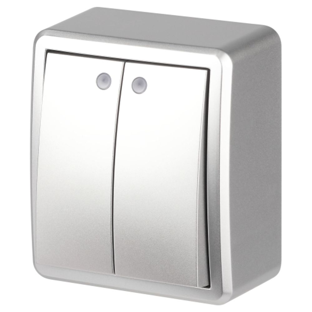 Выключатель ЭРА Эксперт 11-1205-03 двойной с подсветкой IP20 10АХ-250В ОУ алюминий | Эра Эксперт