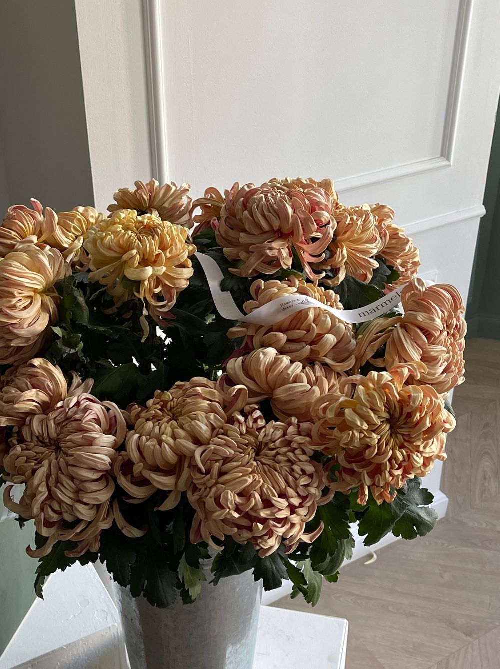 Хризантема одноголовая КУПЕР