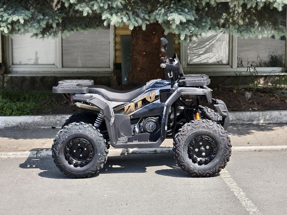 Lion 200Х серый