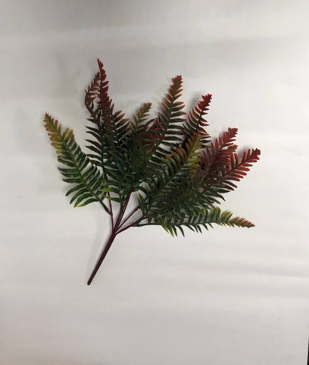 Папоротник