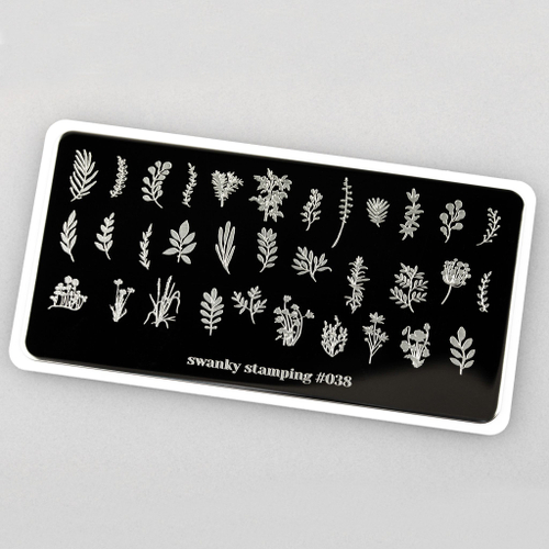 Swanky Stamping Пластина 038