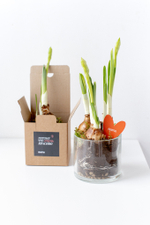 Композиция с первоцветами в стеклянной вазе размер M