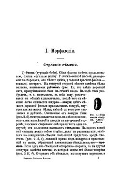 Краткий учебник ботаники | И. П. Бородин
