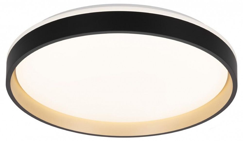 Накладной светильник Citilux ENZO CL753451G