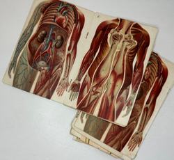 Платен М. Новый способ лечения. Лечение целебными силами природы. — Берлин: Изд. Просвещение, 1901