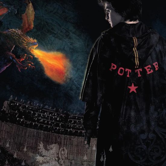 Гарри Поттер и Кубок огня. Календарь настенный на 2023 год (170х170 мм)