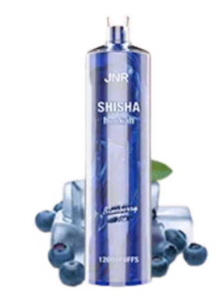 JNR Shisha Hookah Черничный лёд 12000 затяжек 20мг (2%)