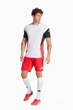 Шорты adidas Tiro 25 Pro Training - красный