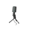 Ritmix RDM-126 Black Green