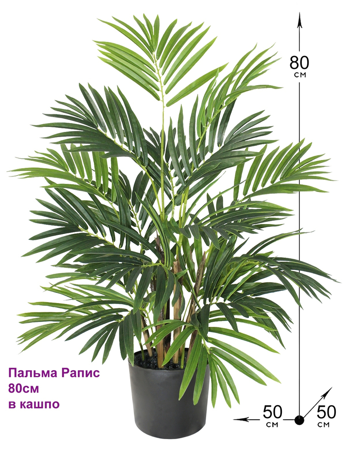 Искусственная пальма Рапис густая 80см в кашпо
