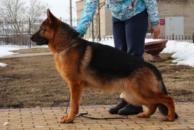 БОИНГ Из Поместья Боговик