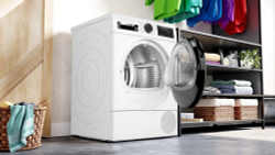 Сушильная машина Bosch WQG24500BY