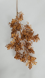 Самшит цветной / Арт 1282