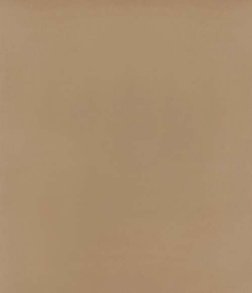 Рулонные шторы Блэкаут Латте