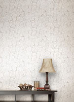 Каньон - 22 серая