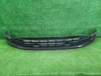 Юбка переднего бампера VW Tiguan 2 (2020-н.в.)