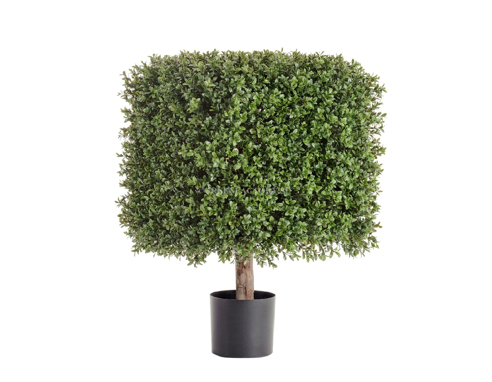 Самшит квадрат уличный на каркасе