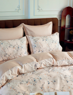 Постельное белье СайлиД T-049 сатин