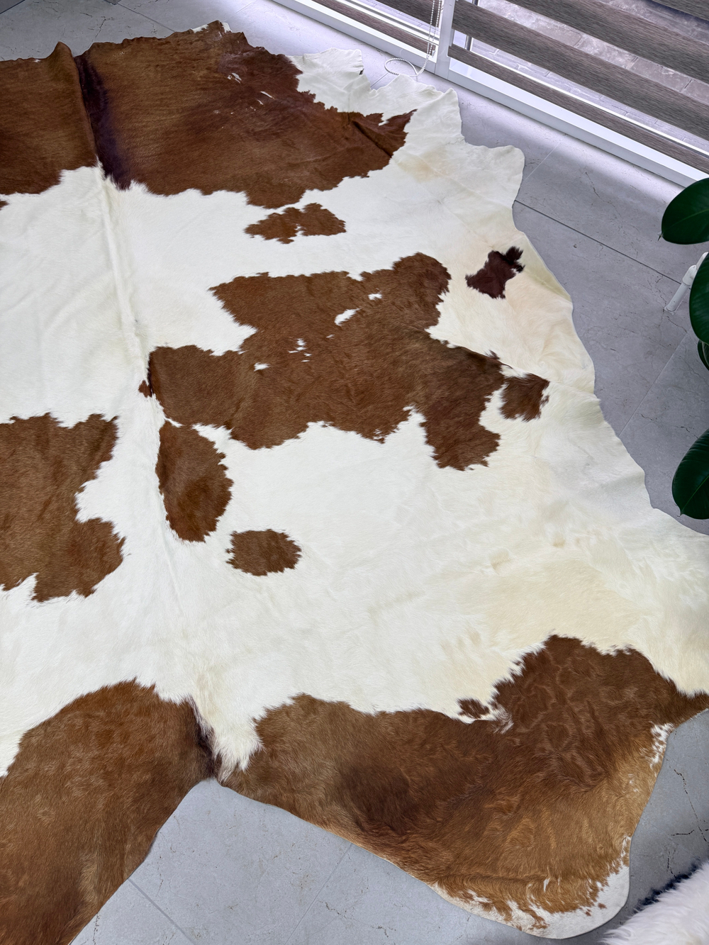 Коровья шкура на пол натуральная. 200 х 190 см