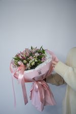 Альстромерия "M"