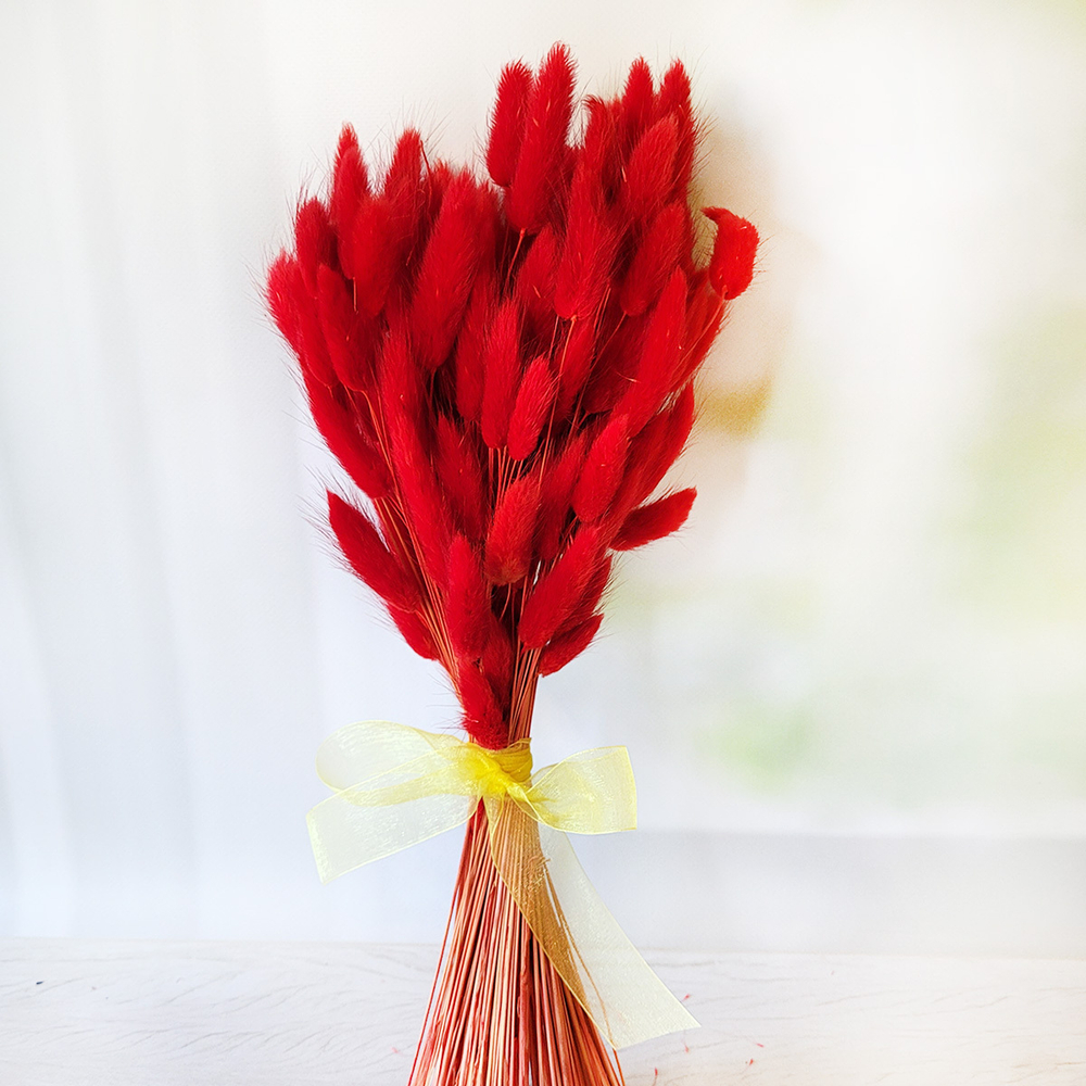 Букет сухоцветов из лагуруса красного