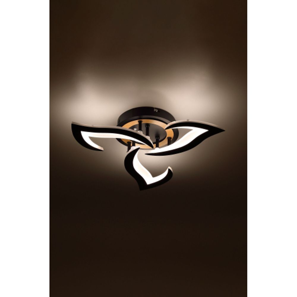 Светильник потолочный светодиодный Rivoli Cassandra 6194-703 LED 3000-6250К 42 Вт с пультом | Интерьерные светодиодные светильники