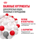 Royal Canin Appetite Control Care Корм консервированный для взрослых кошек соус 85 г