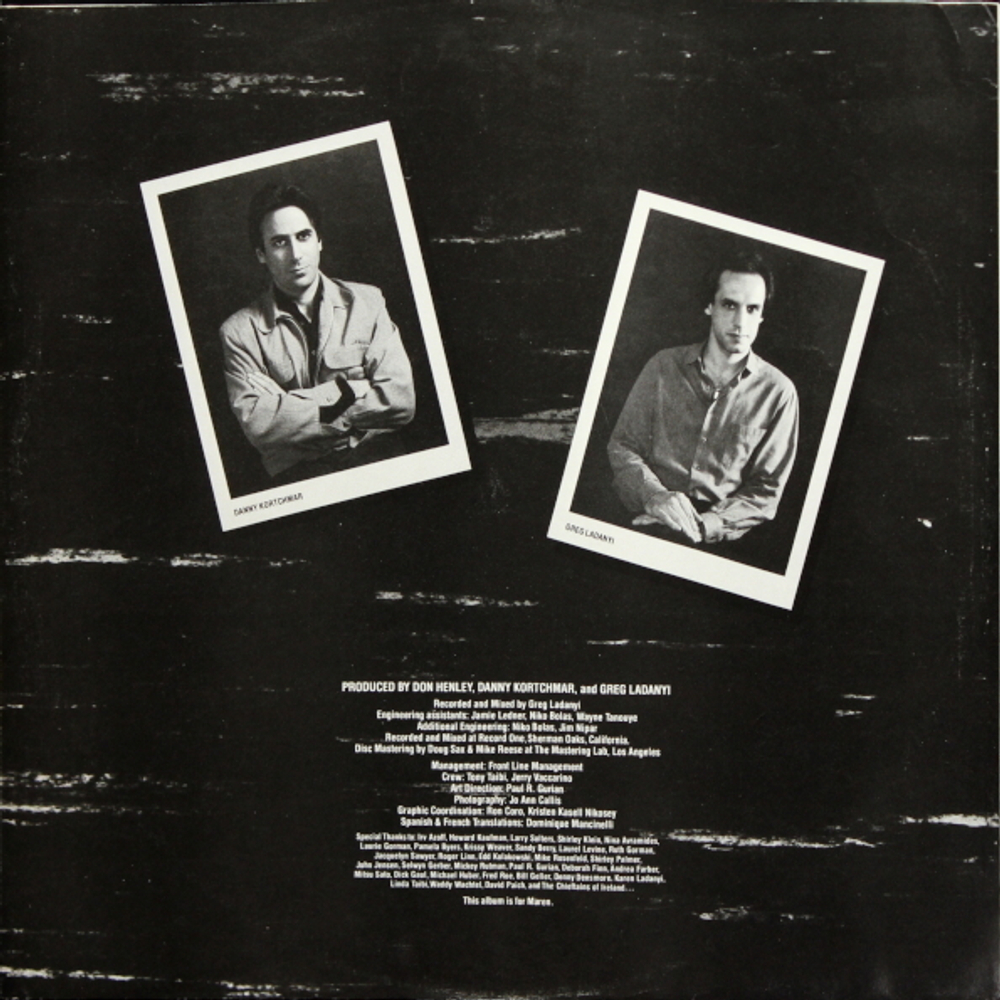 Don Henley / I Can't Stand Still (LP)