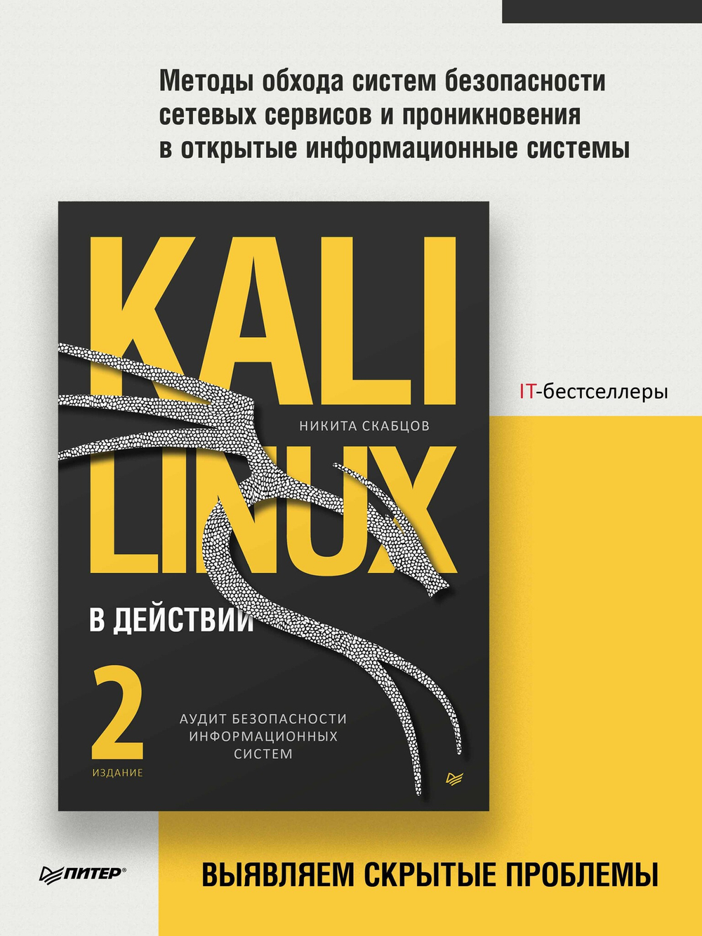 Kali Linux в действии. Аудит безопасности информационных систем. 2-е издание