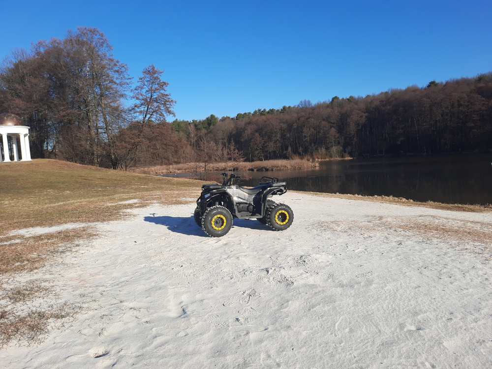 Квадроцикл бензиновый MOTAX GRIZLIK W200