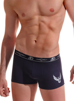 Мужские трусы-боксеры с эмблемой (Размер: L) (Цвет: темно-синий)