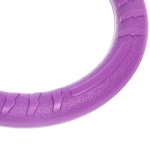 Кольцо - пуллер для собак средних и крупных пород «ЛЮБИМЫЙ БРО», цвет фиолетовый, d - 18.5см (подвес)