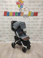 Коляска прогулочная Baballo Future 2024 серая (белая рама)