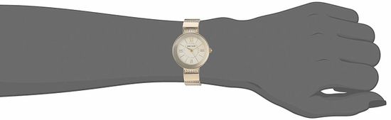 Женские часы Anne Klein AK/3190CHGB