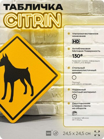 Табличка прикольная "Осторожно, бойцовская собака (доберман)" на дверь и стену, информационная и предупреждающая, декоративный знак, 24,5х24,5 см, пластиковая, Айдентика Технолоджи
