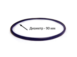 Кольцо уплотнительное для корпусов Гейзер 10 SL