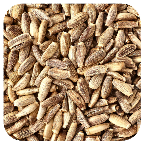 Starwest Botanicals, органические семена расторопши, 453,6 г (1 фунт)