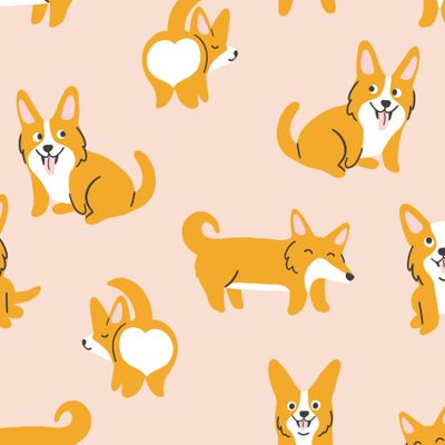 Корги на розовом телесном
