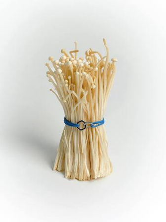 Браслеты Браслеты