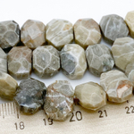 Коралл окаменелый, размер около 13-14*10,5-11 мм, цена за 9 шт (1/4 нити)