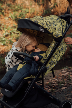 Детская прогулочная коляска Anex AIR-X Ax-SE-01 se woo