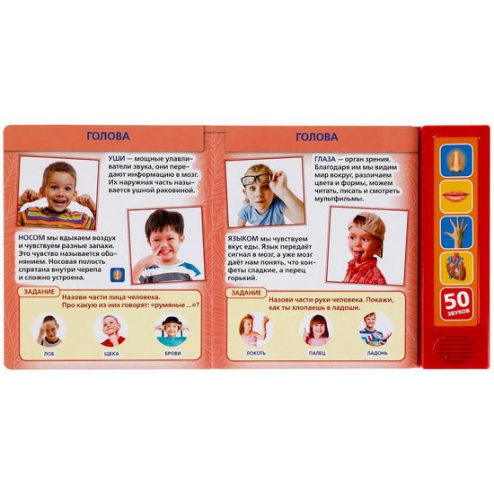 Говорящая энциклопедия Тело человека (5 кн. 50 звуков) 200х175мм 10стр Умка