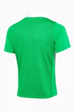 Футболка Nike Dri-FIT Academy Pro 24