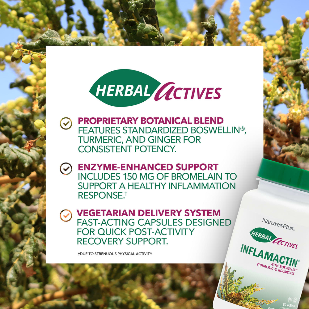 NaturesPlus, Herbal Actives, InflamActin®, 60 веганских капсул