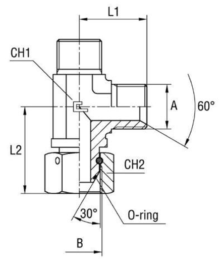 Соединение PFNL BSP 1/4"