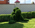 Топиари Обезьяна
