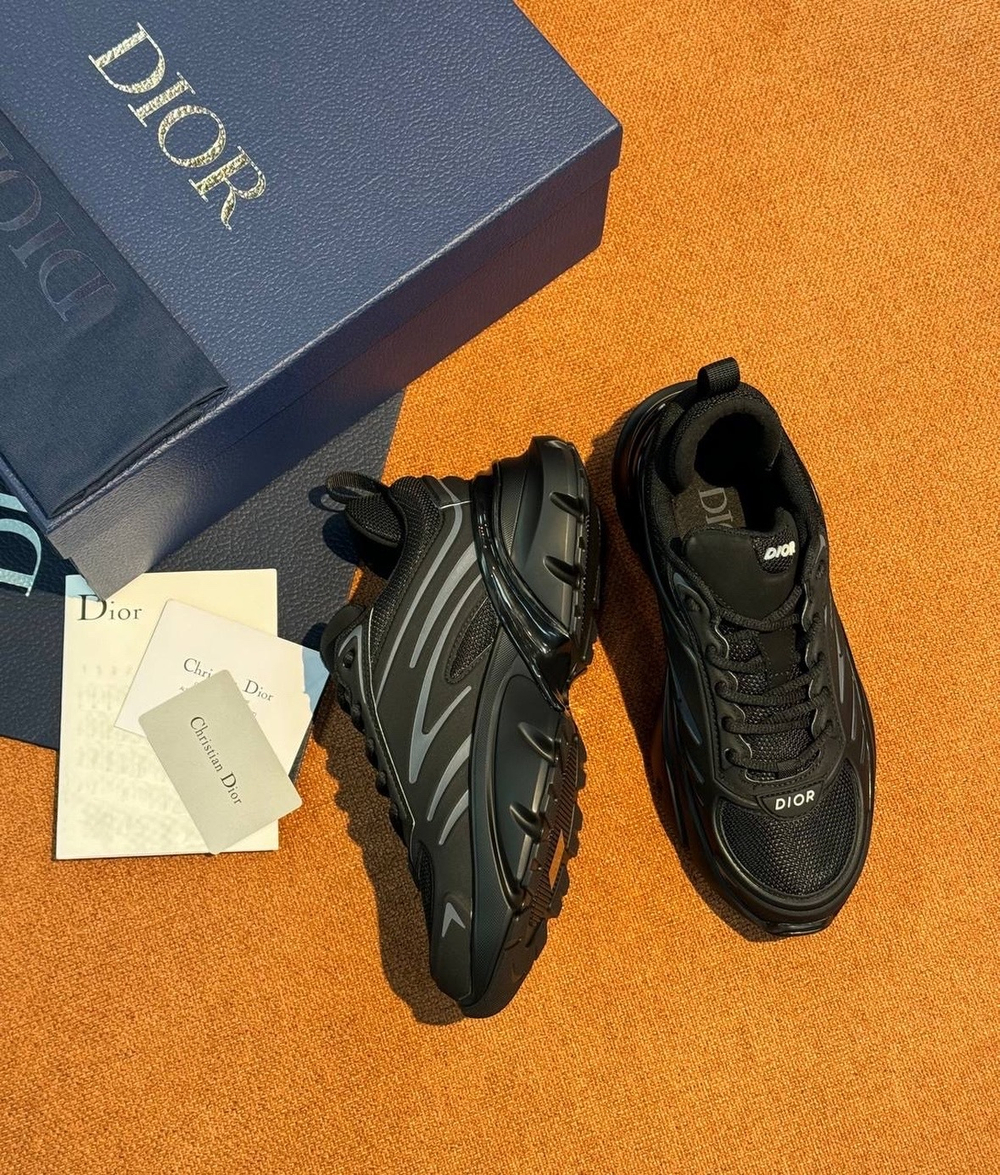 Кроссовки Christian Dior